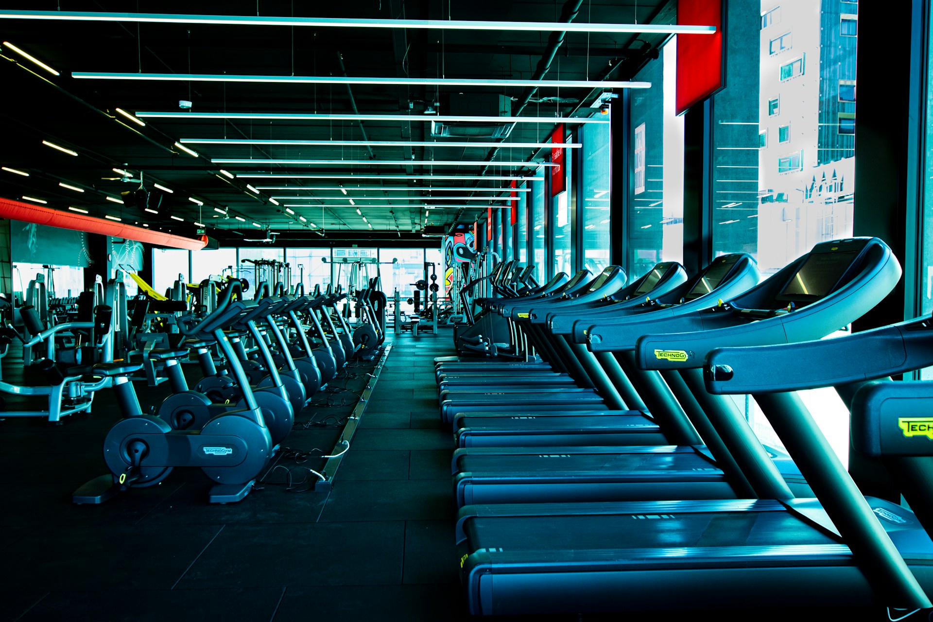 Gym and Fitness Security